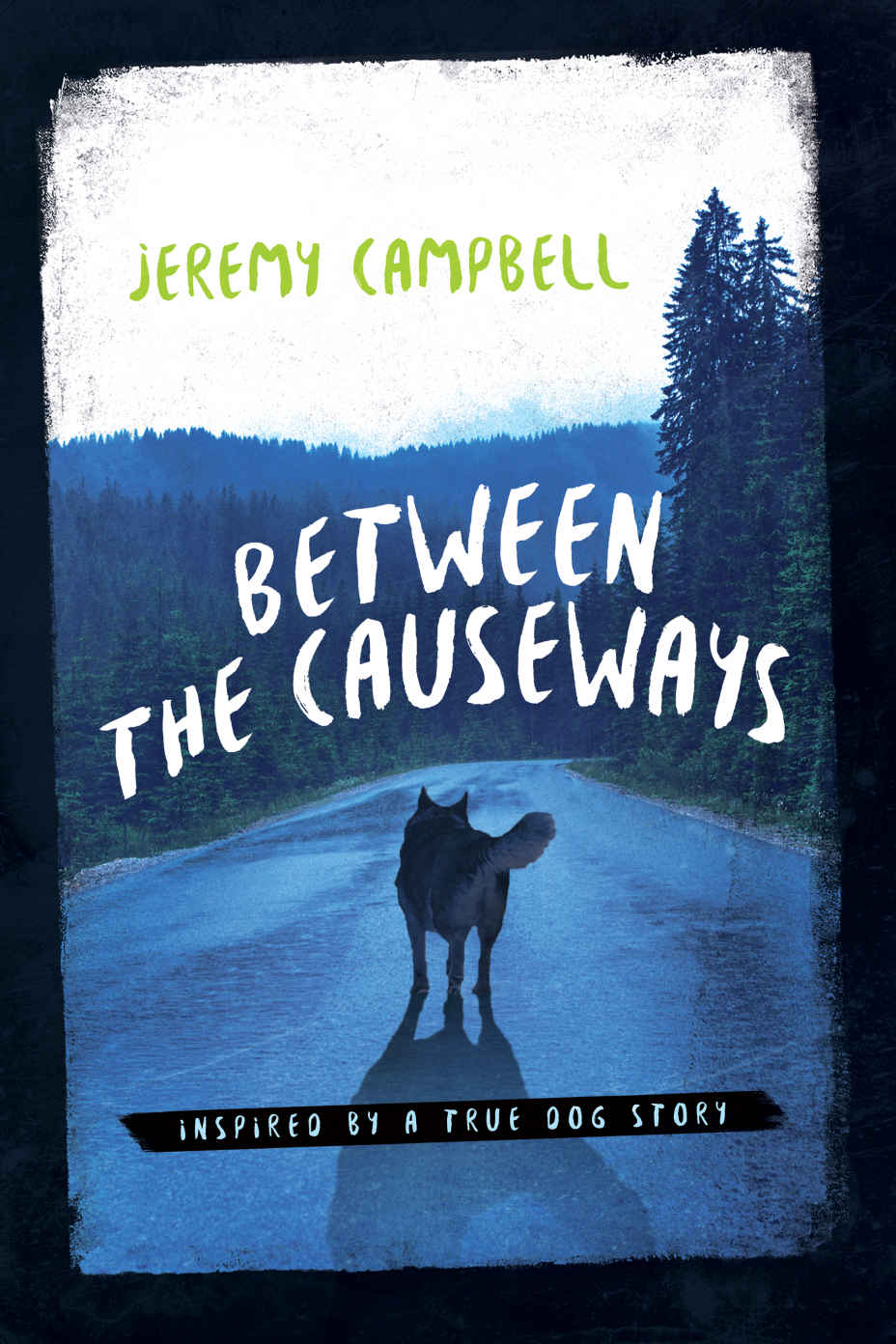 Between the Causeways: A Southern dog story